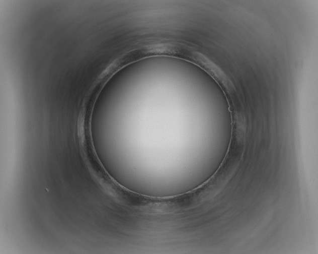 X0000110920482200906251421