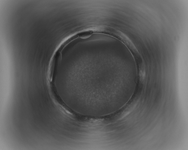 X0000110920484200906251421
