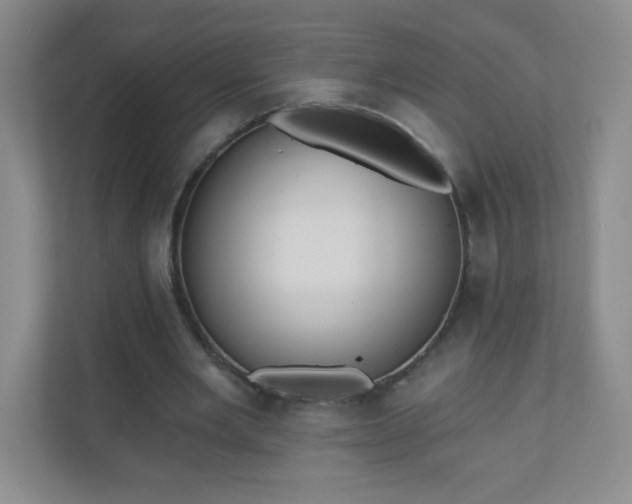 X0000110920485200906251421