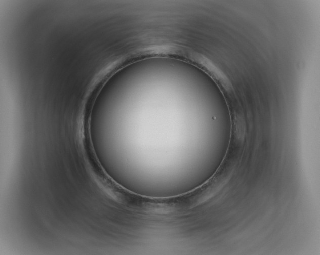 X0000110920486200906251421