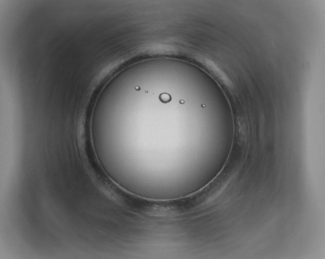 X0000110920487200906251421