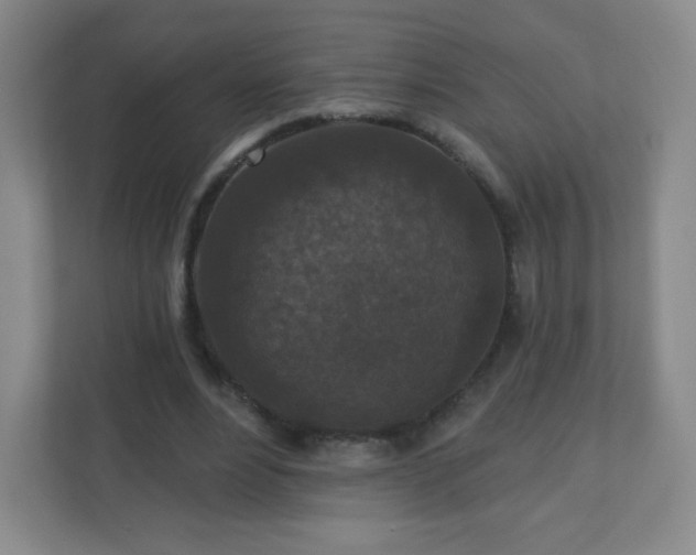 X0000110920488200906251421