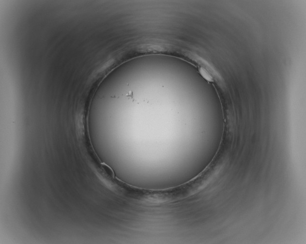 X0000110920489200906251421