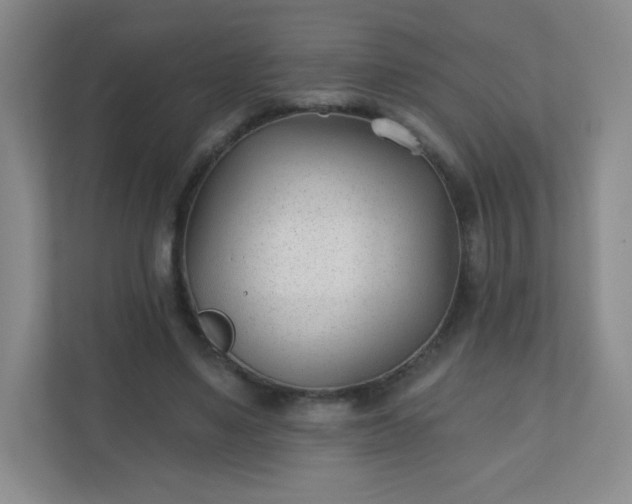 X0000110920491200906251421