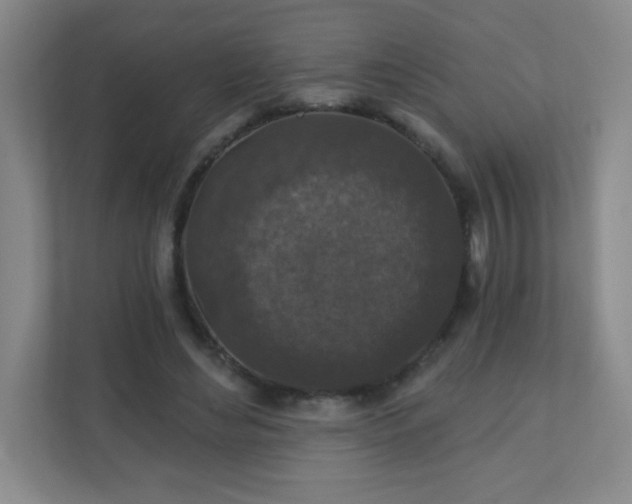 X0000110920492200906251421