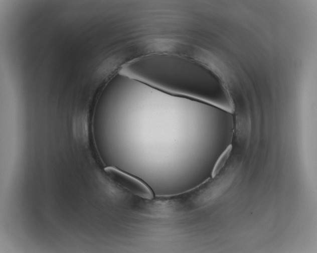 X0000110920493200906251421