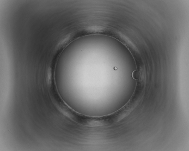 X0000110920494200906251421