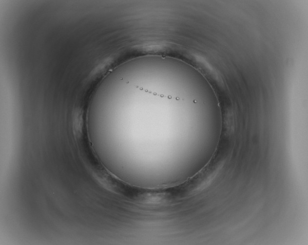 X0000110920495200906251421