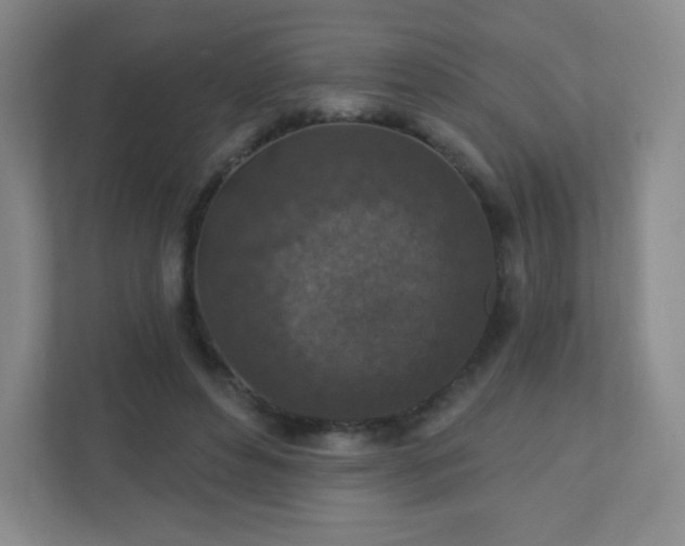 X0000110920496200906251421