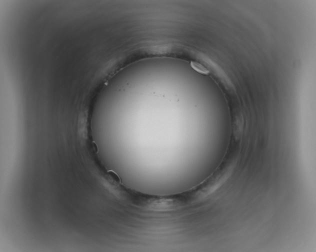 X0000110920497200906251421