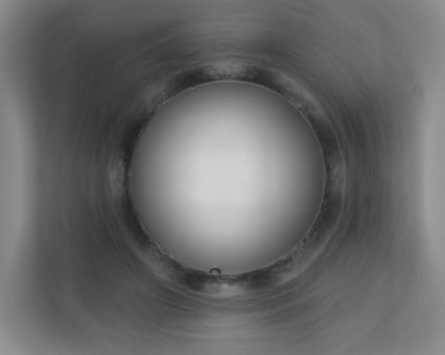 X0000110920498200906251421