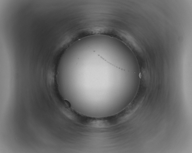 X0000110920499200906251421
