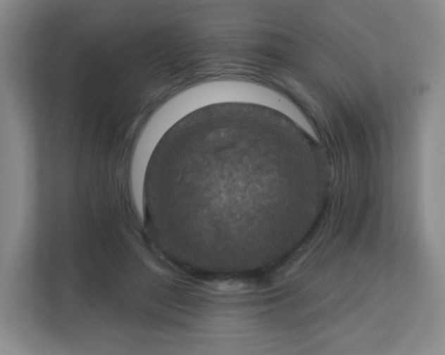X0000110920500200906251421