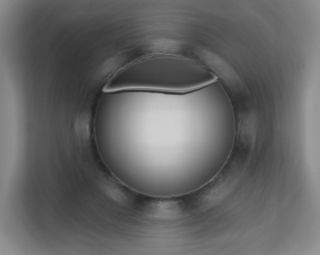 X0000110920501200906251421