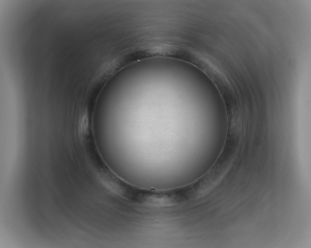 X0000110920502200906251421