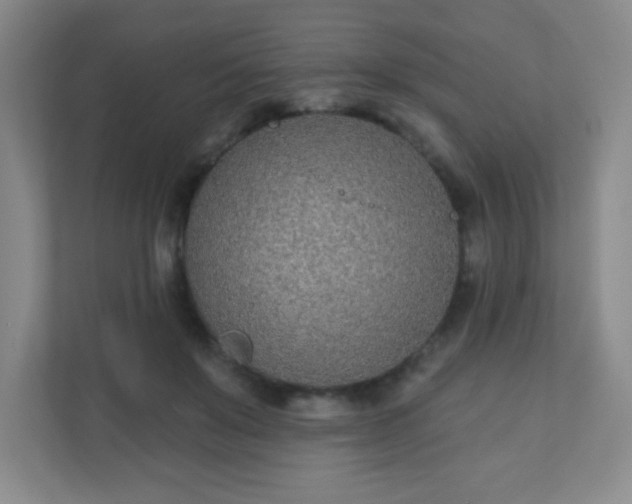 X0000110920503200906251421