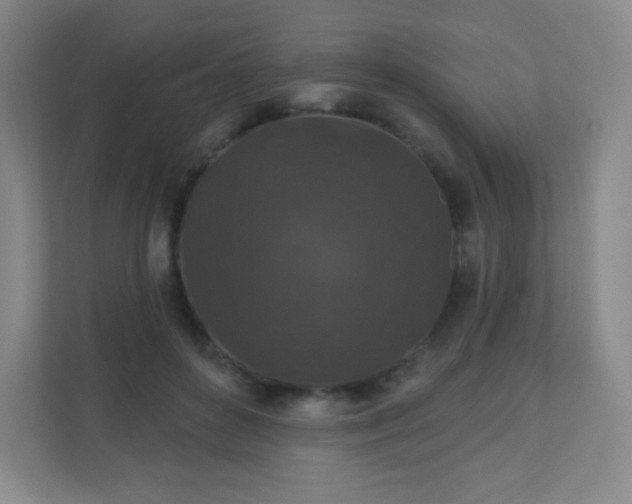 X0000110920504200906251421