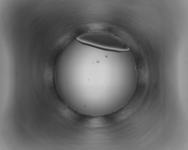 X0000110920505200906251421