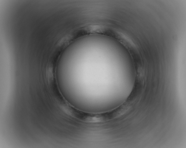 X0000110920506200906251421