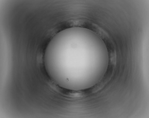 X0000110920514200906251421