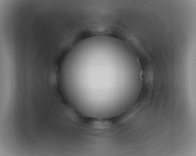 X0000110920515200906251421