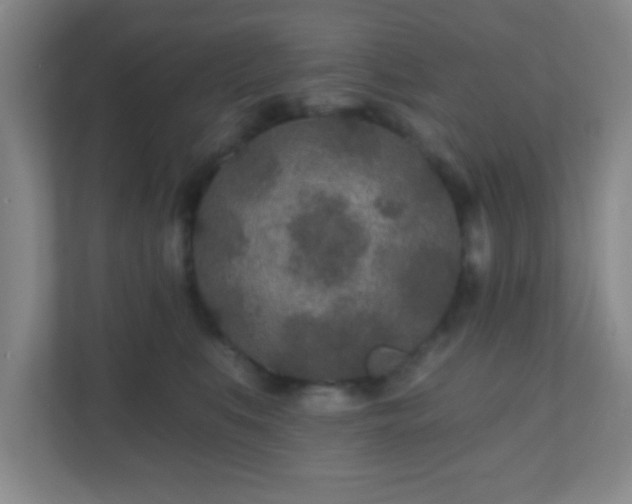 X0000110920519200906251421