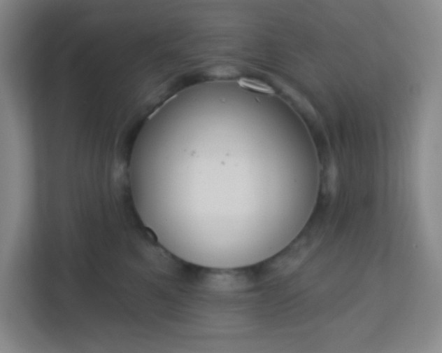 X0000110920521200906251420