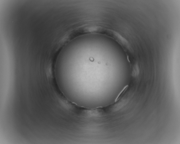 X0000110920524200906251420