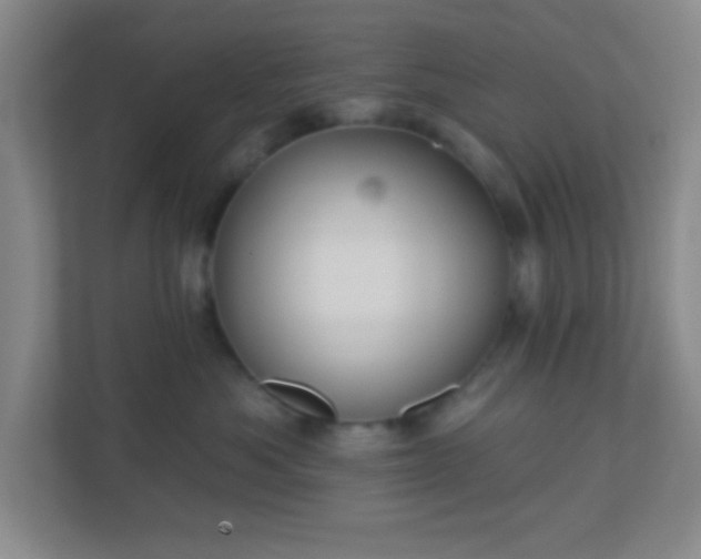 X0000110920525200906251420