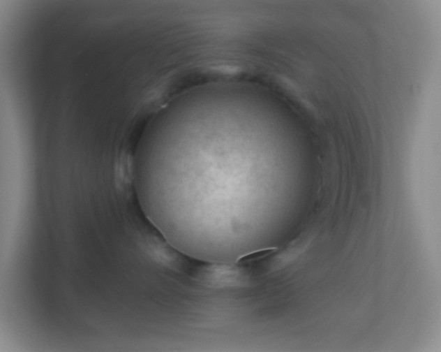 X0000110920528200906251420