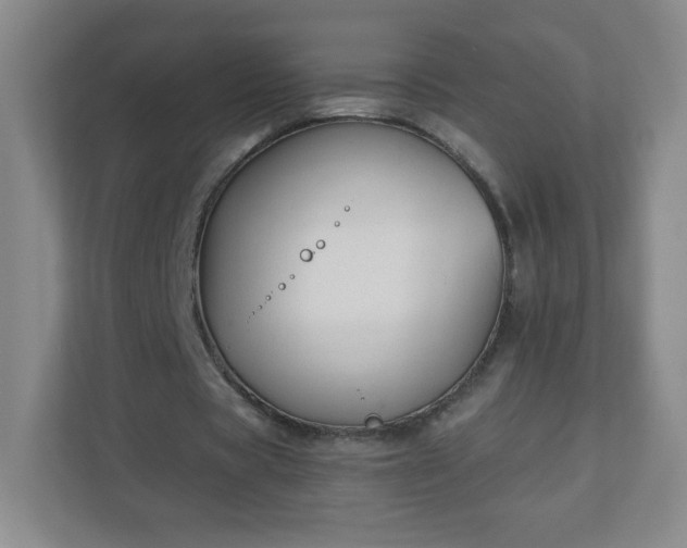 X0000110920529200906251420