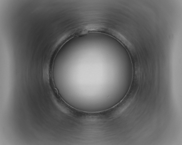 X0000110920530200906251420
