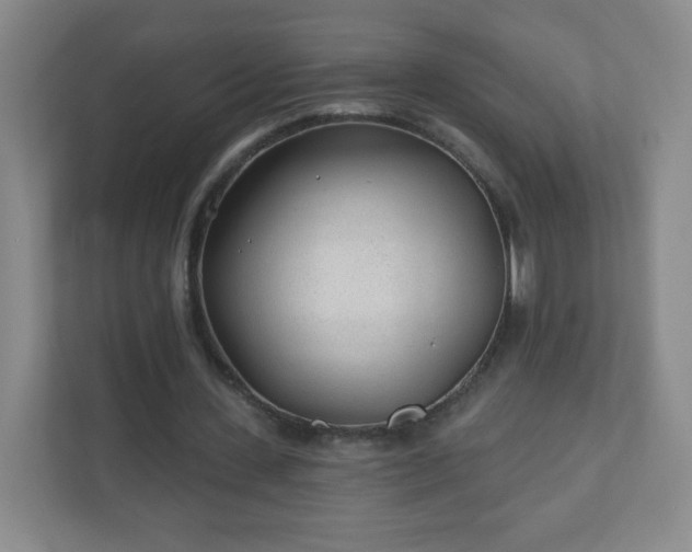 X0000110920531200906251420