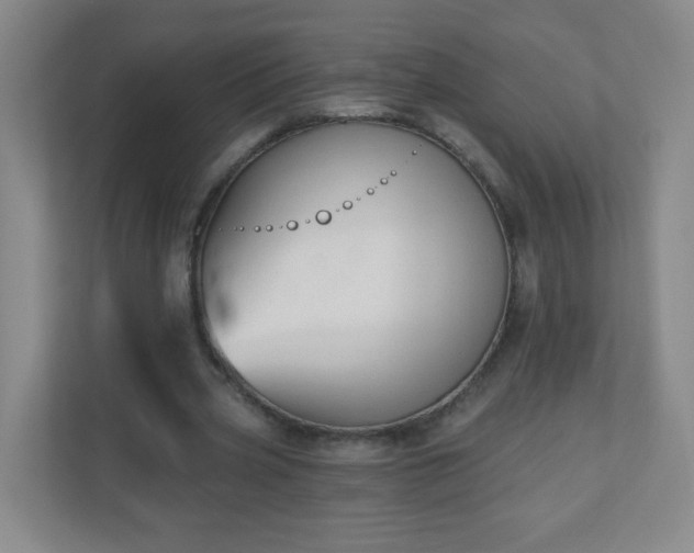 X0000110920533200906251420