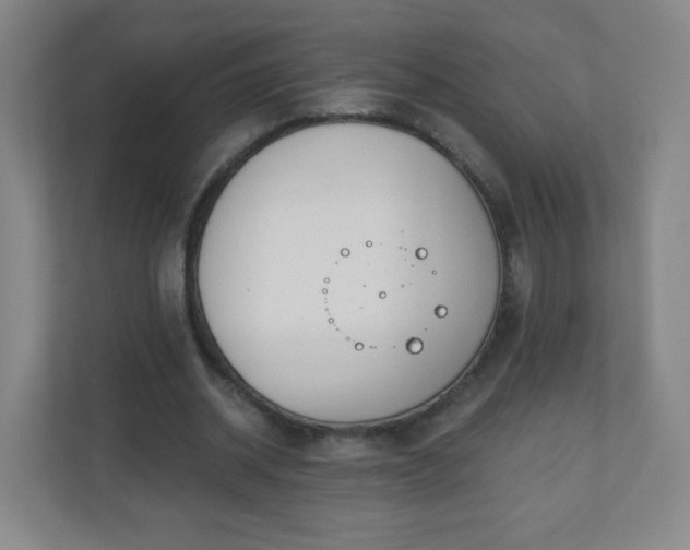 X0000110920534200906251420