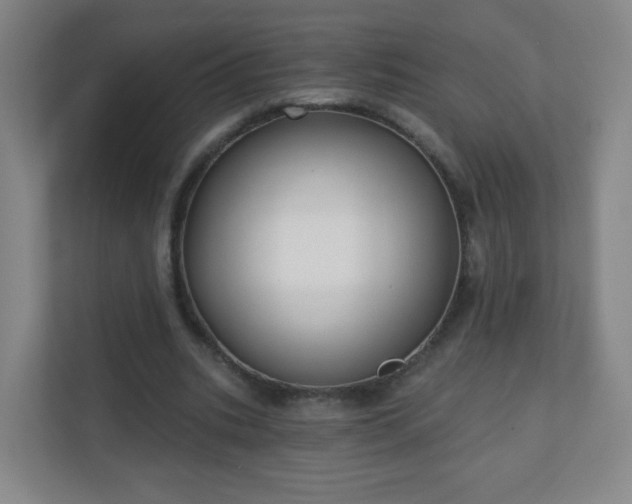 X0000110920535200906251420