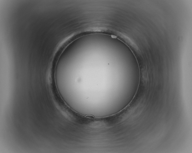 X0000110920536200906251420