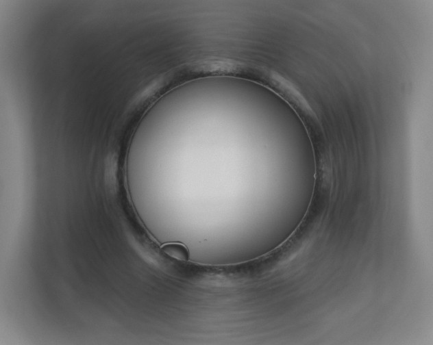X0000110920538200906251420