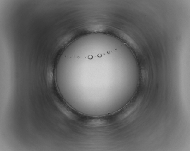 X0000110920541200906251420
