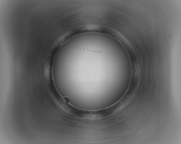 X0000110920542200906251420