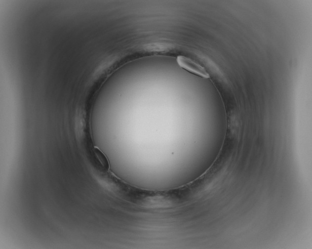 X0000110920544200906251420