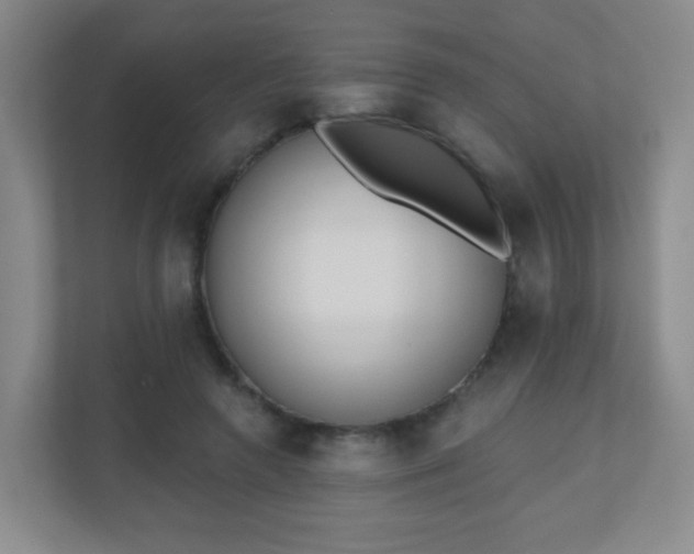 X0000110920546200906251420