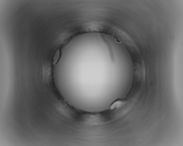 X0000110920548200906251420
