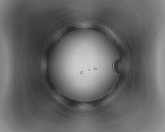 X0000110920549200906251420
