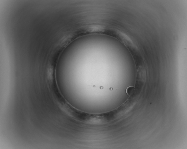 X0000110920550200906251420