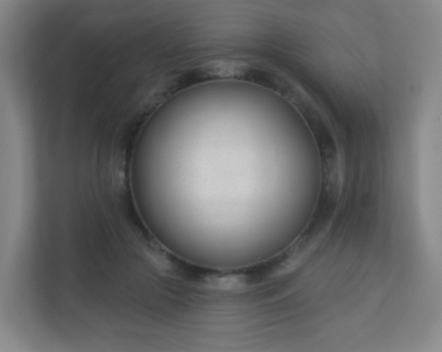 X0000110920553200906251420