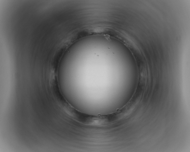X0000110920555200906251420