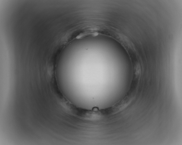 X0000110920559200906251420