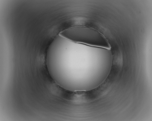 X0000110920560200906251420