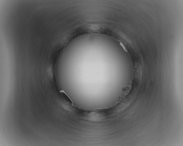 X0000110920562200906251420